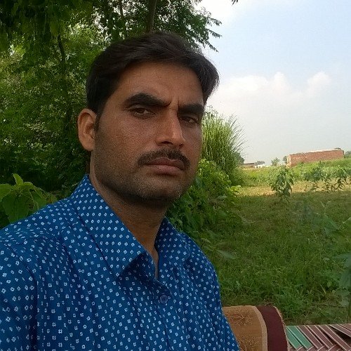 rajeshmishra690's profile picture. 