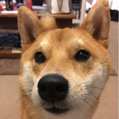 LaurenN_J's profile picture. 