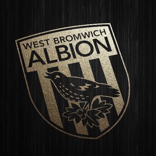 West Bromwich Albion FC Strength and Conditioning Department