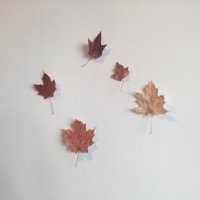 Cana🇨🇦 (@voyage_ai) 's Twitter Profile
