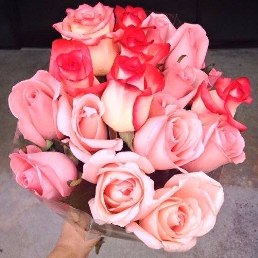 Algeriano1995's profile picture. أنا مسلم و أفتخر
الحمد لله رب العالمين