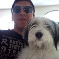 Dany Lancerio (@daniellancerio) 's Twitter Profile