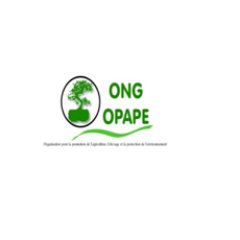 we are non governmental organisation, and non profited making cont:opapebombali99@.com