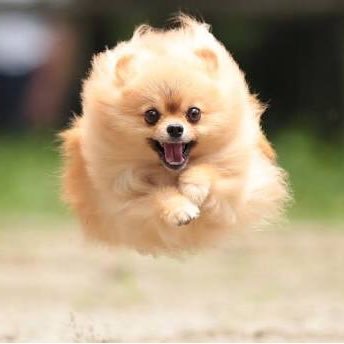 cpa2016ppp's profile picture. 会計士してます🐰 一児の母です👶💙