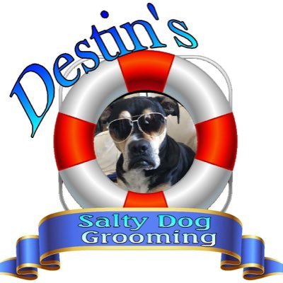 SaltydogDestins's profile picture. im a certified pet groomer located in Destin FL. i offer baths grooms brush out nail trims hair coloring. I groom by appointment only call to book (850)424-4049