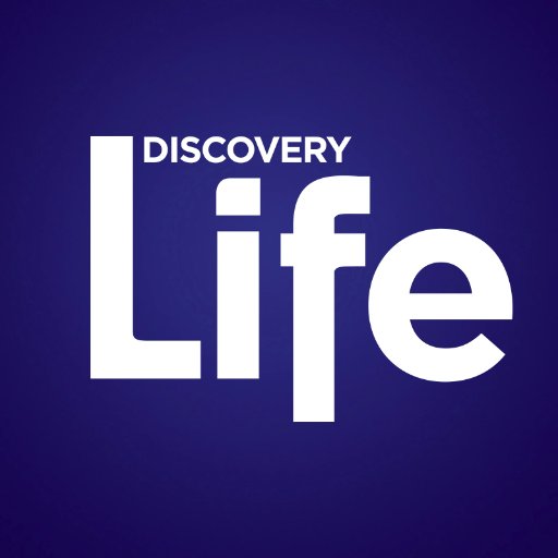 disclifechannel Profile Picture