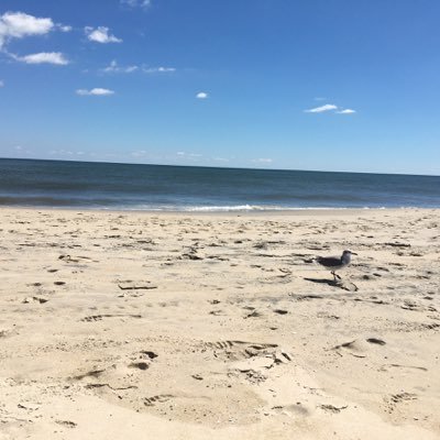 mrscrawley123's profile picture. 