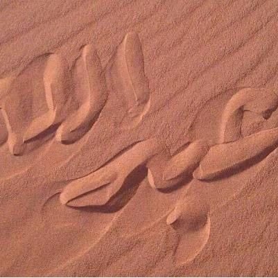 abomohammeda's profile picture. مؤمن يأمر بالمعروف وينهى عن المنكر