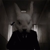 TheBunny_RPG's profile picture. 