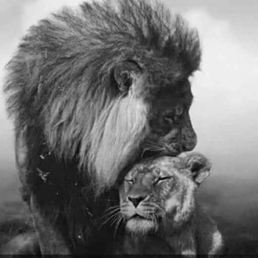 ReginaCarty06's profile picture. 