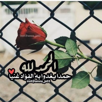 SaeedSALMarri's profile picture. نادر حرار وان شهر وأدرج الحوم ..مسراه من فوق الجدي والنعايم