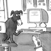 New Yorker Cartoons