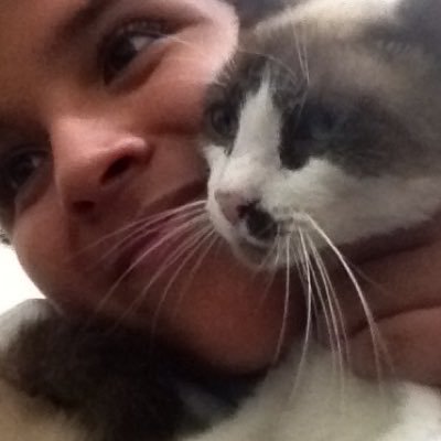 JhonnyCollantes's profile picture. 