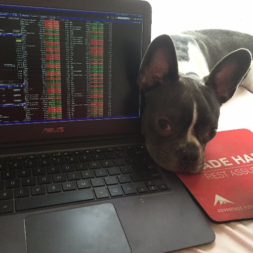 scaffrey1's profile picture. 