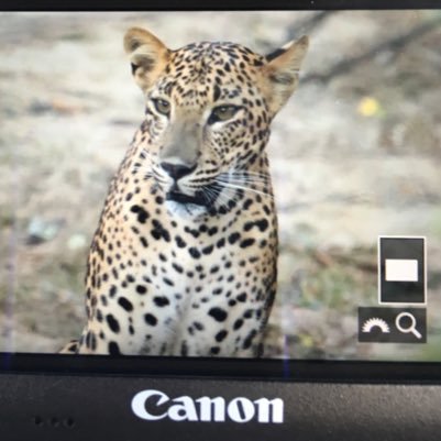 markmytrail's profile picture. Nature Photography Travel Wildlife and serendipities of wild Sri Lanka!