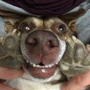 Tiffany Hatch - @TiffanyHatch9 - Twitter