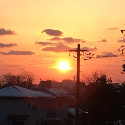 自分は周りの人より少し抜けてるだけだと思ってたんだけど本当のばかだったことを最近自覚しました