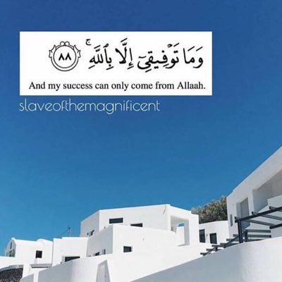 gunner_49_s's profile picture. 