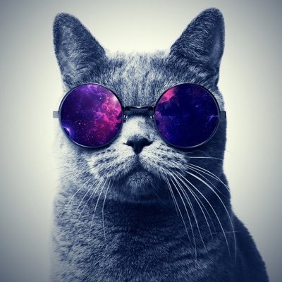 AZahaoui's profile picture. 