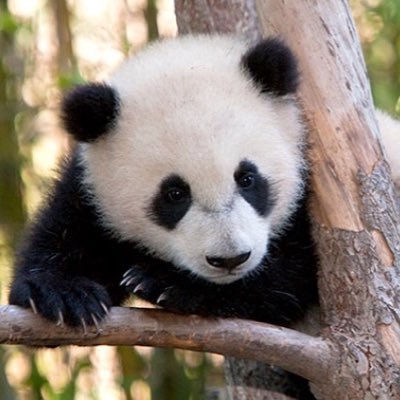 AcaciaCarrillo's profile picture. 