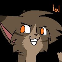 Ř Ą B B Ï Ţ (@swiftstrides) 's Twitter Profile