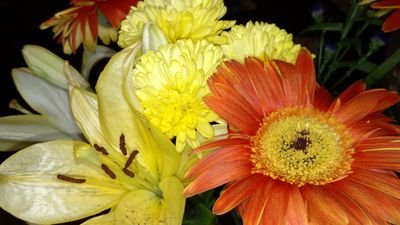 JAGPenOhio's profile picture. 7th Grade Language Arts