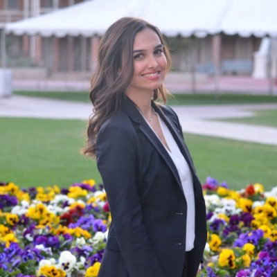 soudehmir's profile picture. Assistant professor, Hofstra University