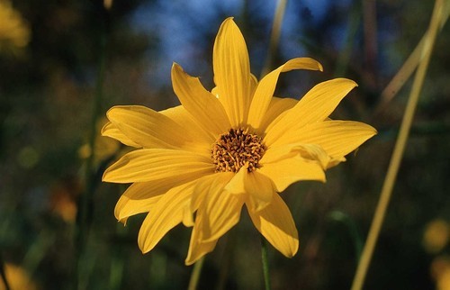 justmomtothem's profile picture. 