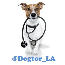 Cuenta dirigida a los Amantes de los Perros. Te demostraremos que un Perro puede ser tu Mejor Medicina.  #DogtorLA #MiDogtor