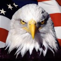 USASalesNow's profile picture. 