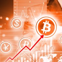 One Bitcoin (@onebitcoin1) 's Twitter Profile