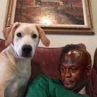 James Traynor (@jamestraynor4) 's Twitter Profile Photo James Traynor (@jamestraynor4) 's Twitter Profile Photo