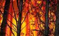 news about the victorian bushfires. Remember to donate at the redcross or the salvos.