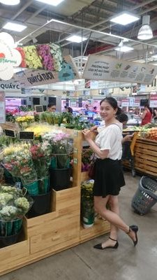 Chuyên cung cấp,  sữa chữa phòng xông hơi,  máy xông hơi....