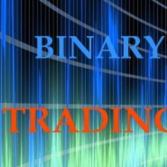 optionbinary1's profile picture. 