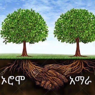 GirlHabesha's profile picture. All In All Ethiopia #Africa ❤️