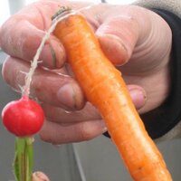 Jason Grauer (@jasongrauer) 's Twitter Profile