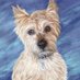 Mary Jill Lemieur (@maryjilllemieur) Twitter profile photo Mary Jill Lemieur (@maryjilllemieur) Twitter profile photo