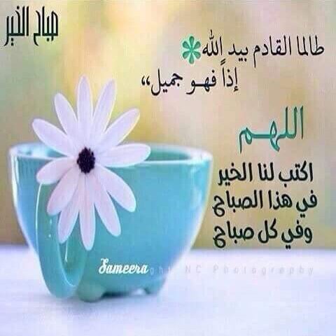 halaibr's profile picture. رَبِّ هَبْ لِي حُكْمًا وَأَلْحِقْنِي بِالصَّالِحِينَ وَاجْعَلْ لِي لِسَانَ صِدْقٍ فِي الْآَخِرِينَ وَاجْعَلْنِي مِنْ وَرَثَةِ جَنَّةِ النَّعِيمِ ..  