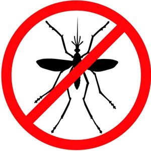 A resource on ticks and mosquitoes, the diseases they carry, and and how to control them. https://t.co/mRNQU2xHXJ