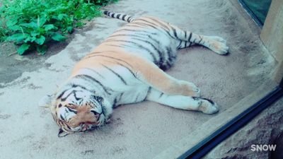 horive_0608's profile picture. 