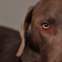 Rummy (@rummyd) 's Twitter Profile