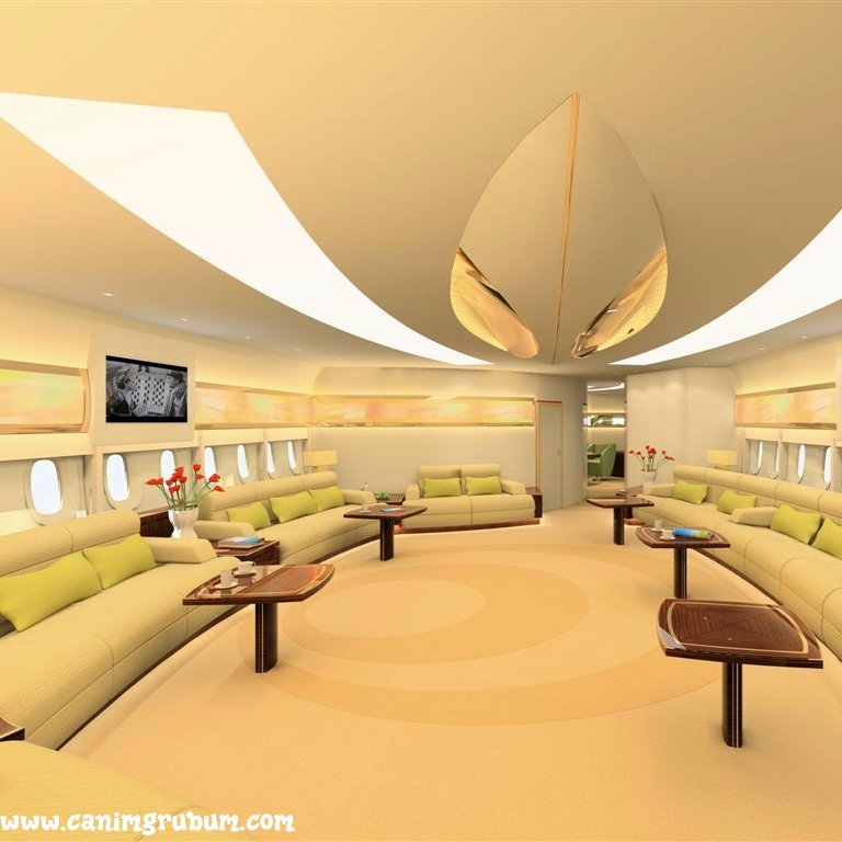 __vene's profile picture. Software engineer