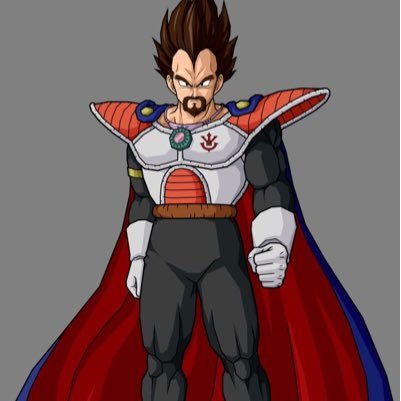 king_Vegeta24's profile picture. my only Queen is @SayaQueensaiyan