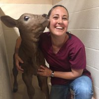 Nancy Springer (@doug_nancy) 's Twitter Profile Photo