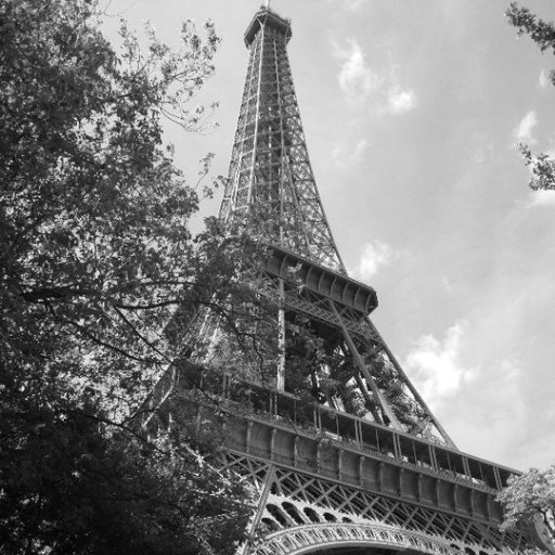 gayatri_more's profile picture. I believe in “now”| traveler | coffee lover| bookworm | Instagrammer | mountains over sea |