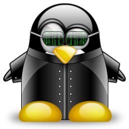 Linuxero, pentester, desarrollador de videojuegos indie y eterno padawan.