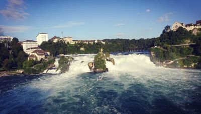 Sven_205's profile picture. 