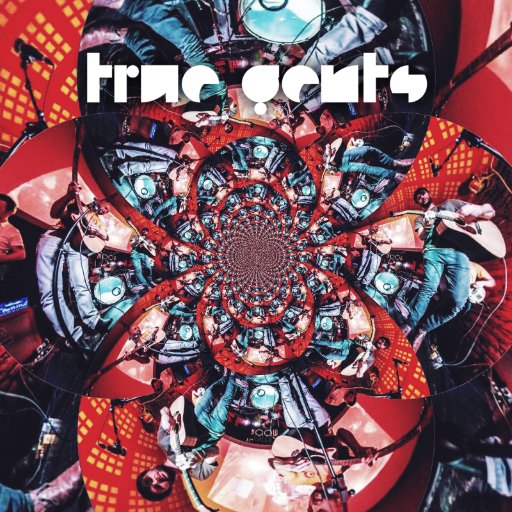 TRUE GENTS - ...Cult songsmiths with a special vein of psych-infused jangle-pop...