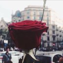 ساره المهنا✨ (@5867_sara) Twitter